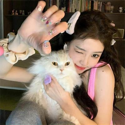 离婚才知我是拳王,高冷前妻跪求原谅